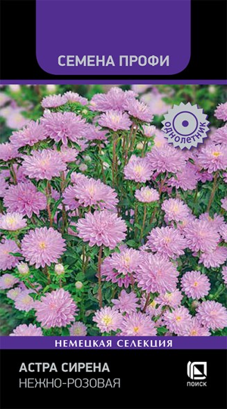 Семена Астра Сирена Нежно-розовая махровая (Поиск)