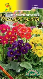 Примула Весенняя палитра смесь (ЦС)