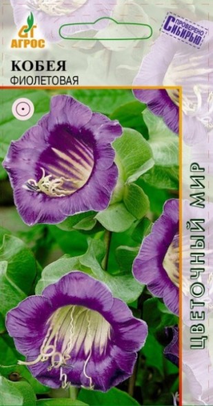 Семена Кобея Фиолетовая (Агрос)