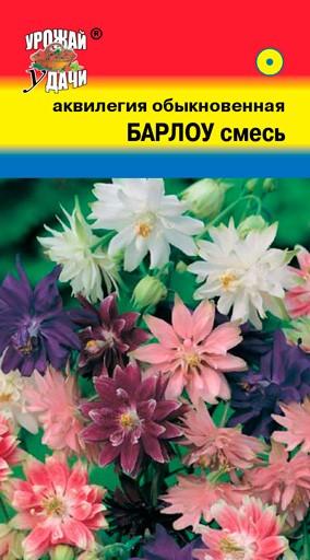 Семена Аквилегия Барлоу смесь УУД
