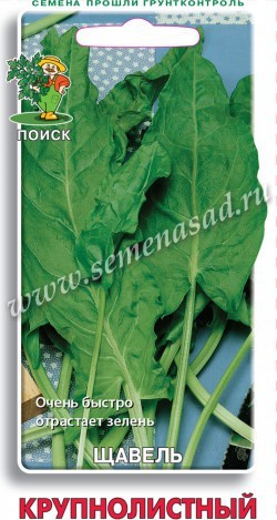 Семена Щавель Крупнолистный (Поиск)