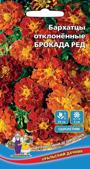 Семена Цветы Бархатцы отклоненные Брокада ред УД