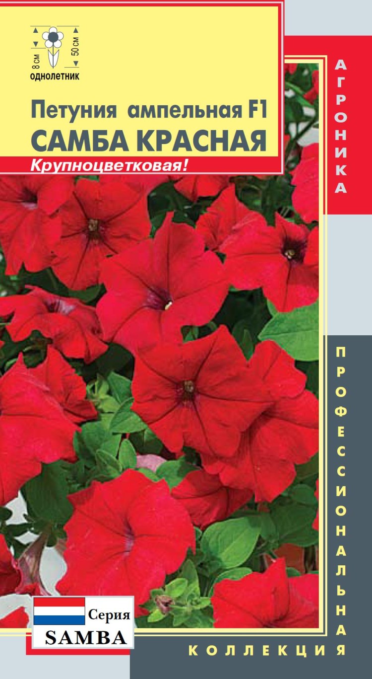 семена ампельной петунии