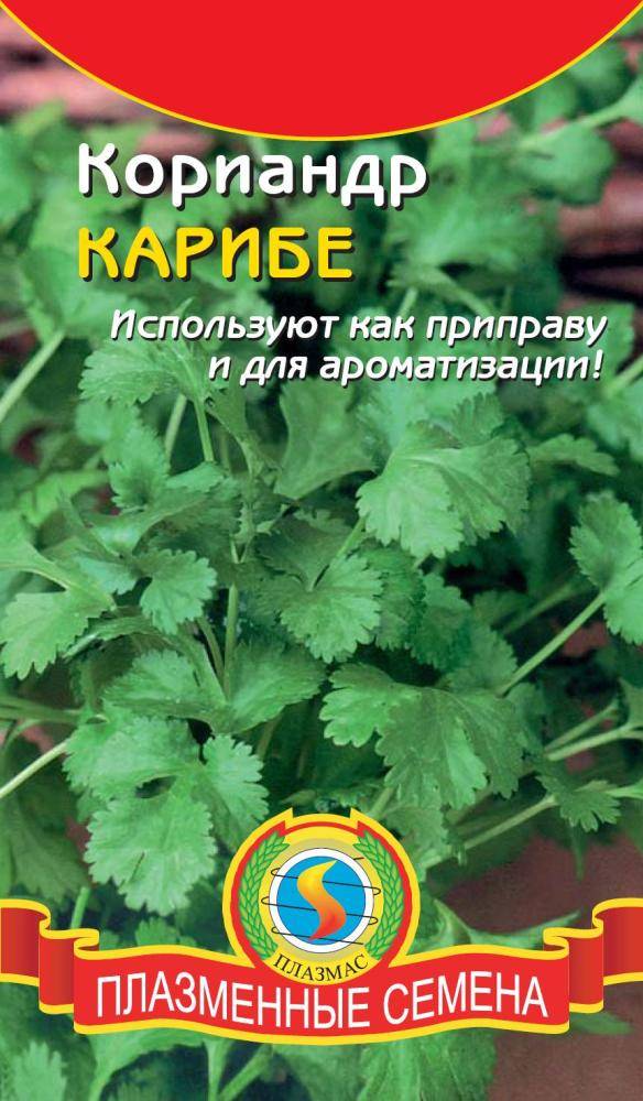 Где Купить Семена Кинзы