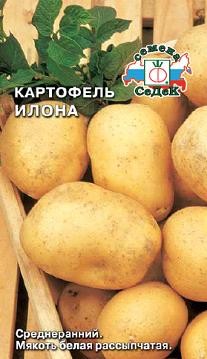 Семена Картофель Илона (СеДеК)