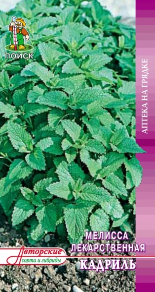 Семена Мелисса Кадриль лекарственная (Поиск)