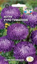 Астра Утро туманное (СеДеК)