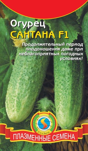 Семена Огурец Сантана F1 ПЛ