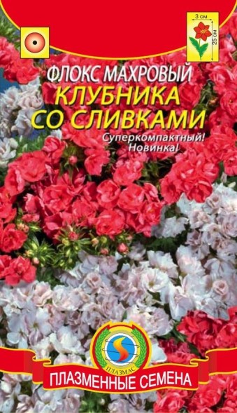 Семена Флокс махровый &amp;quot;Клубника со сливками&amp;quot; ПЛ