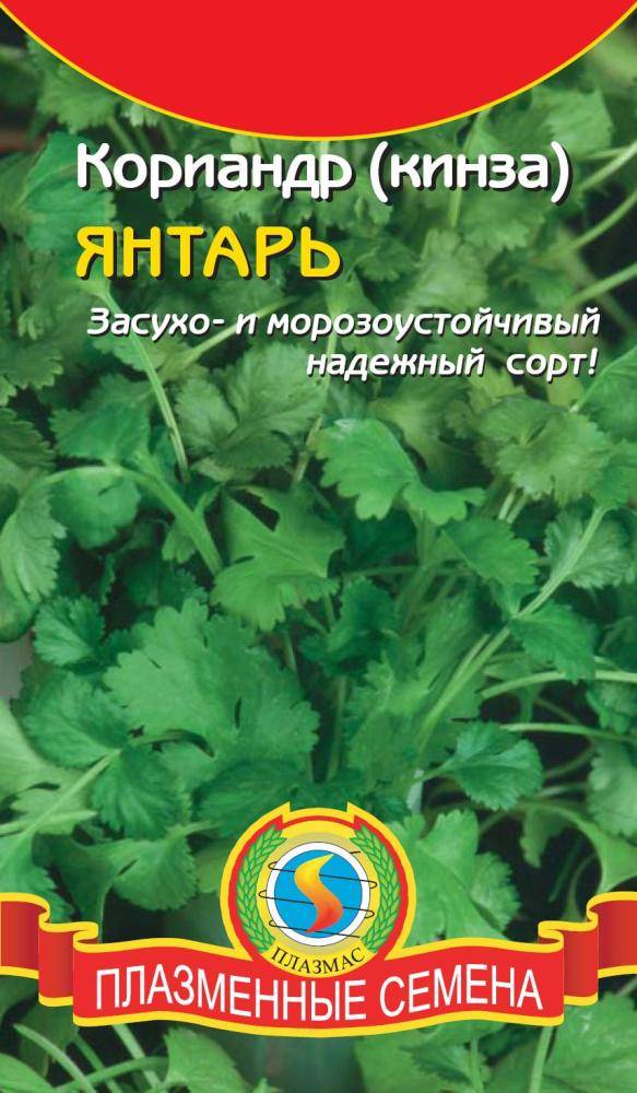 Купить Кориандр (кинза) Янтарь ПЛ по цене от 13 руб