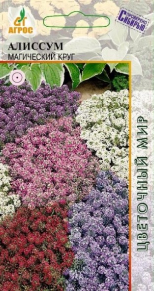 Семена Алиссум Магический круг (Агрос)
