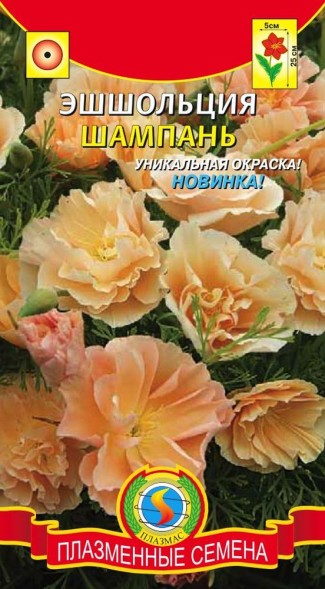 Семена Эшшольция Шампань ПЛ