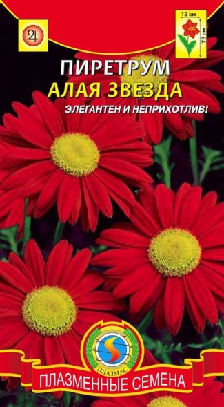 Семена Пиретрум Алая звезда ПЛ