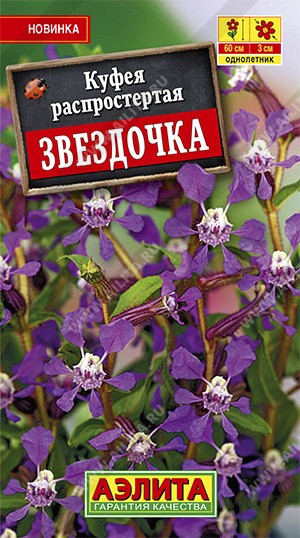 Семена Куфея Звездочка (Аэлита)