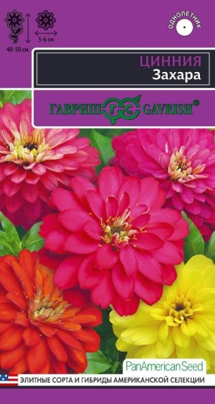 Семена Цинния Захара смесь (Гавриш)