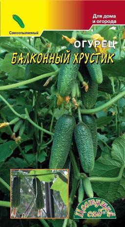 Семена Огурец Балконный Хрустик F1 ЦС