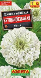 Цинния Крупноцветковая белая (Аэлита)