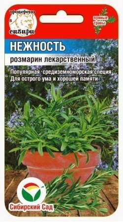 Семена Розмарин Нежность (Сиб Сад)