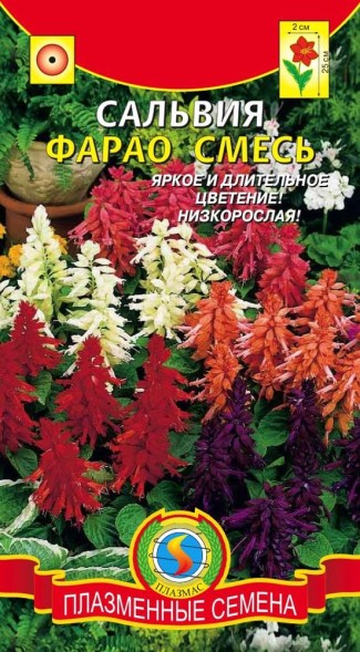 Семена Сальвия Фарао смесь ПЛ