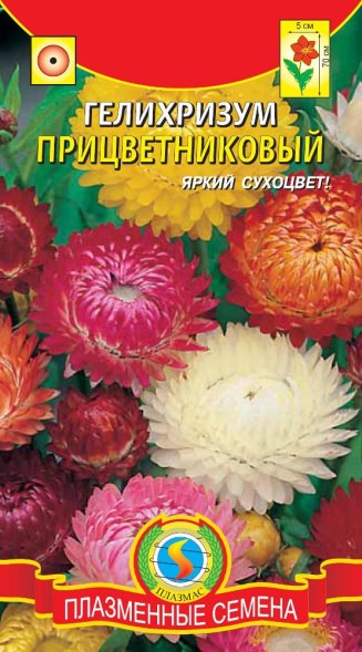 Семена Гелихризум прицветниковый (смесь) ПЛ