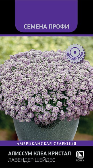 Семена Алиссум Клеа Кристал Лавендер Шейдес (Поиск)