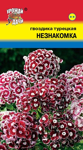 Семена Гвоздика Турецкая НЕЗНАКОМКА УУД