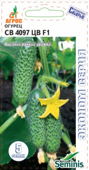 Семена Огурец СВ 4097 ЦВ F1 (Агрос)