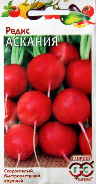 Семена Редис Аскания (Гавриш)