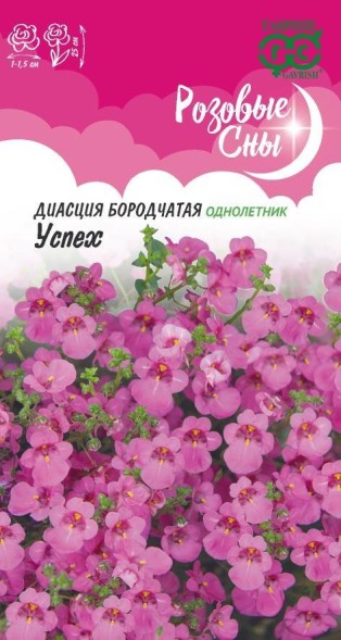 Семена Диасция Успех (Гавриш)