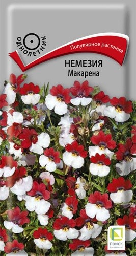 Семена Немезия Макарена (Поиск)