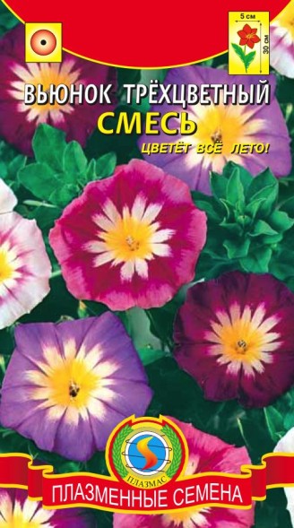 Семена Вьюнок Трёхцветный, смесь ПЛ