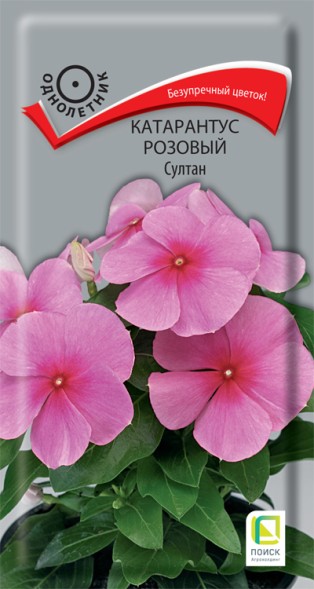 Семена Катарантус Султан розовый (Поиск)