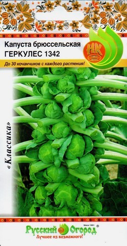 Семена Капуста Геркулес 1342 НК
