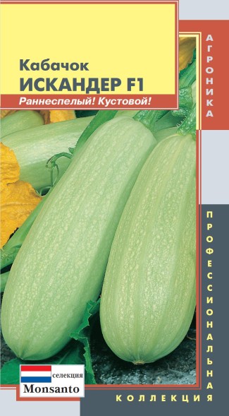 Семена Кабачок Искандер F1 ПЛ