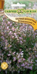 Шалфей Вознесенский 24 мускатный (Гавриш)