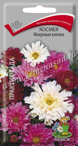 Семена Космея Махровая кнопка (Поиск)