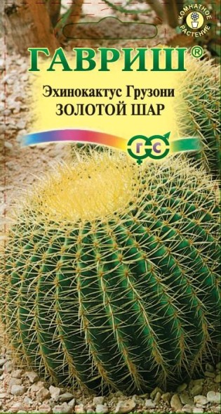 Семена Эхинокактус Грузона Золотой шар (Гавриш)
