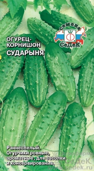 Семена Огурец Сударыня корнишон (СеДеК)