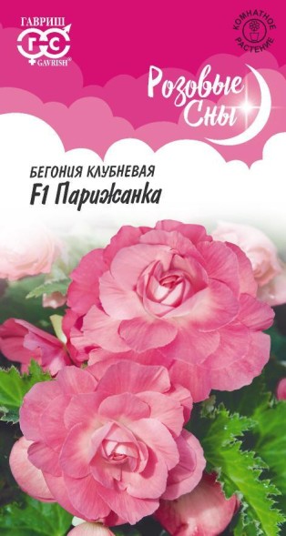 Семена Бегония Парижанка F1 (Гавриш)