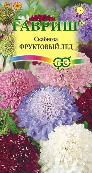 Семена Скабиоза Фруктовый Лед махровая смесь (Гавриш)