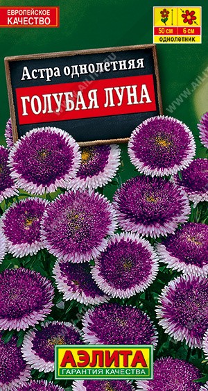 Семена Астра Голубая луна (Аэлита)