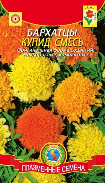 Семена Бархатцы Купид  смесь ПЛ