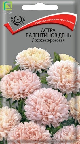 Семена Астра Валентинов день Лососево-розовая пиновидная (Поиск)